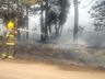 VÍDEO: Aumento de incêndios deixa capacidade de atendimento dos bombeiros no limite 
