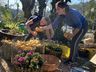 Com grandes atrações, inicia hoje a 18ª Festa da Fruta em Mondaí