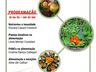 Epagri promove capacitação online sobre alimentação e saúde em tempos de pandemia
