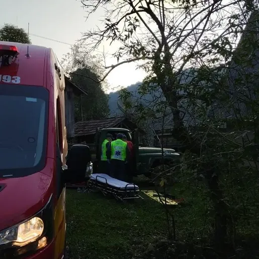 Ao tentar salvar neto, idosa é atingida por árvore no Oeste de SC
