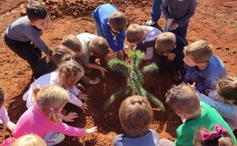 Alunos plantam araucária no Dia Mundial do Meio Ambiente