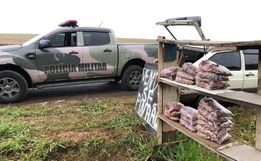Polícia Ambiental apreende mais de 60 kg de pinhão