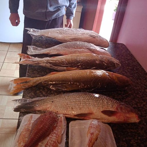 Pescador manifesta satisfação com resultado da atividade