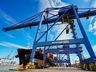 Santa Catarina é líder nacional em exportação de madeira e móveis