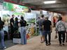 Feira da Agricultura Familiar da Faismo terá 40 expositores neste ano