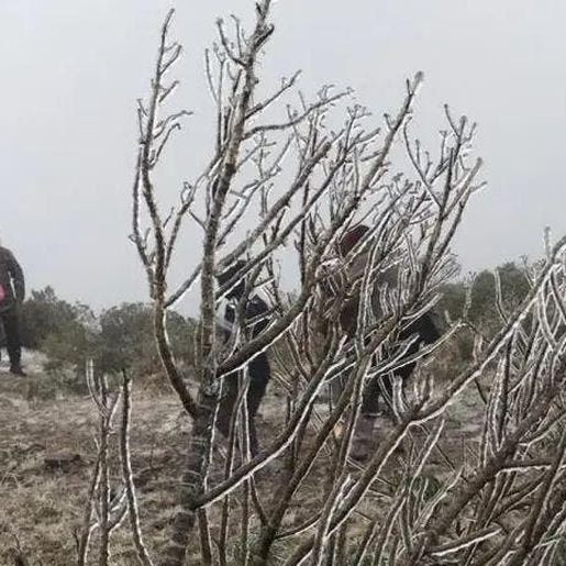 SC tem alerta para frio intenso e rajadas de vento de até 100 km/h