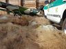 Polícia Militar Ambiental destrói mais de três mil metros de redes de pesca apreendidas
