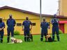 Dia Internacional do Cão de Busca e Resgate: veja como são os treinamentos em SC