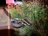 Motociclista morre em acidente entre três veículos em Campo Erê