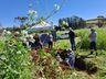 Dia de campo reúne cerca de 30 agricultores em Bandeirante