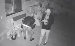 VÍDEO: Cachorro pede carinho a ladrões e ganha colo durante furto a casa