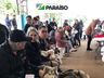 Mutirão de castração em Paraíso atende mais de 120 animais 
