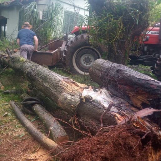 Defesa Civil confirma microexplosão em Itapiranga; fenômeno causa mortes e destruição no Oeste