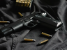 Registro de novas armas para defesa pessoal cai em 2023, e chega ao menor número desde 2004