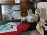 Livro conta trajetória e chegada da família Ramminger a Mondaí