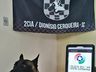 Passageira é presa após cão farejador encontrar maconha em ônibus