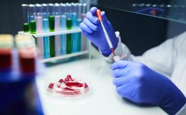 COVID-19: Mais oito pessoas entram para a lista de recuperados em SMO