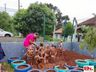 BRINCADEIRA RAIZ: crianças exploram a natureza em creche de SC
