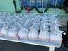 Feijoada da APAE de São Miguel do Oeste vende mais de 400 marmitas 