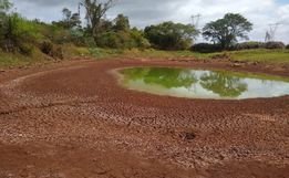 Município distribui 90 mil litros de água por dia para 50 famílias