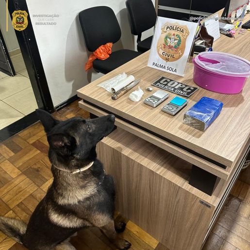 Polícia Civil prende casal por tráfico de drogas em Palma Sola