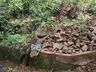 Comunidade de Iporã do Oeste realiza melhorias no sistema de tratamento de água