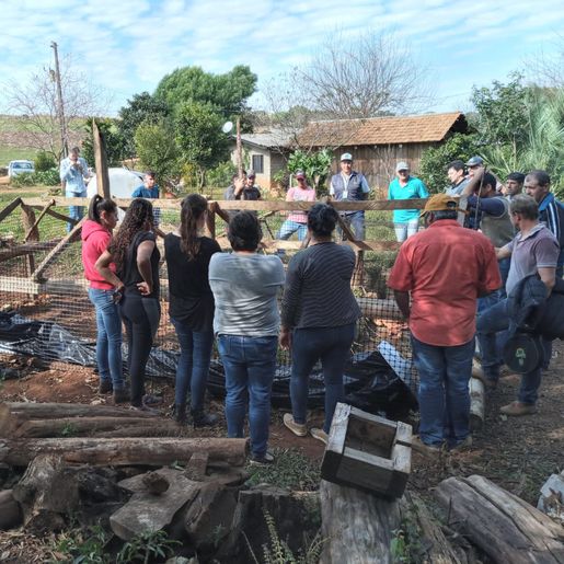 Sobressemeadura de forrageiras anuais de inverno em pastagens perenes é assunto de encontro 