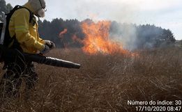 Bombeiros combatem fogo em lavoura de aveia