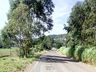 Empreiteira precisa dois hectares de canteiro de obras para iniciar revitalização da 305 