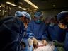 Cirurgiões dos EUA fazem 1º transplante de rim de porco para humano