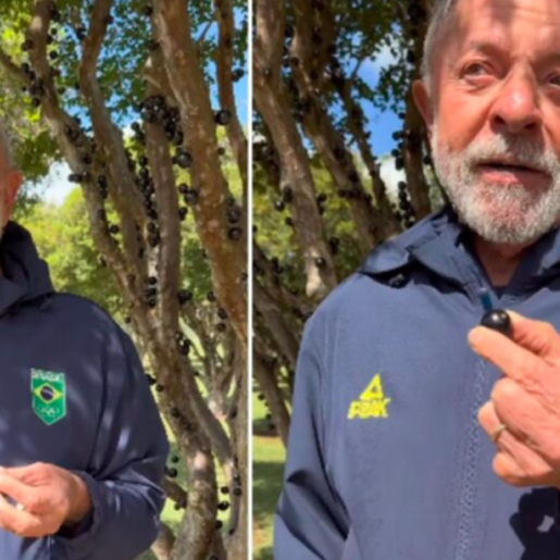Lula oferece jabuticaba a Trump em meio à briga por tarifaço