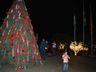 Santa Terezinha do Progresso comemora acendimento das luzes com show 