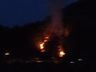 Incêndio atinge área de reflorestamento
