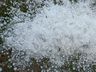 Tempestade de granizo atinge municípios do Oeste
