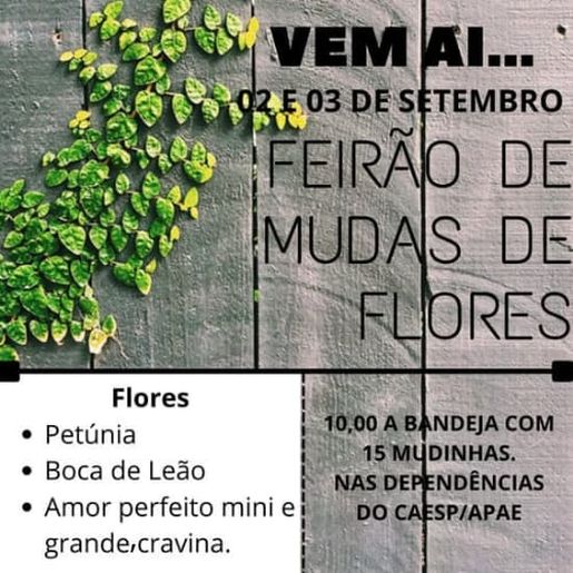 CAESP promove Feirão de Mudas em parceria com floricultura