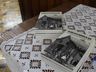 Livro conta trajetória e chegada da família Ramminger a Mondaí