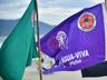 Casos de queimaduras por água-viva aumentam quase 90% em praias de SC