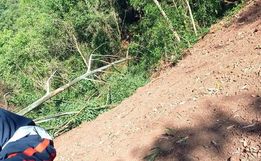 Homem morre após ser atingido por árvore no interior de SMOeste  