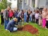Igreja Católica desenvolve campanha para plantio de árvores