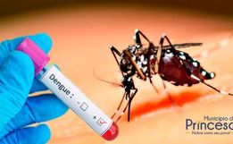 Confirmado o primeiro caso de dengue em Princesa em 2025