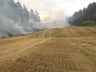 Bombeiros trabalham por três horas e meia em incêndio florestal 