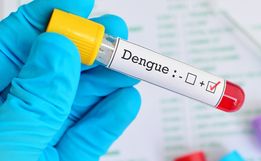 Guarujá do Sul registra o 1º caso de Dengue