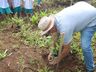 Alunos fazem visita ao Lago Municipal e participam de plantio de árvores em Cedro