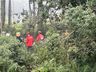 Queda de aeronave mata duas pessoas em SC