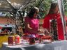 2ª edição da Feira da Mulher Campoerense é sucesso 