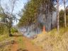 Incêndio de grandes proporções consome dez hectares de mata