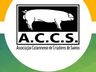 ACCS considera que tarifas não impactam na suinocultura