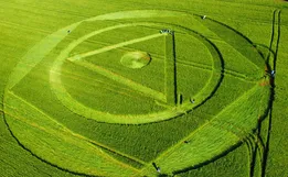 Agroglifo que apareceu em Santa Catarina vai ser desfeito em 10 dias