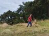 Setor de Urbanismo realizada limpeza em terrenos baldios