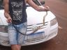 Cobra é encontrada dentro de carro em Pinhalzinho 